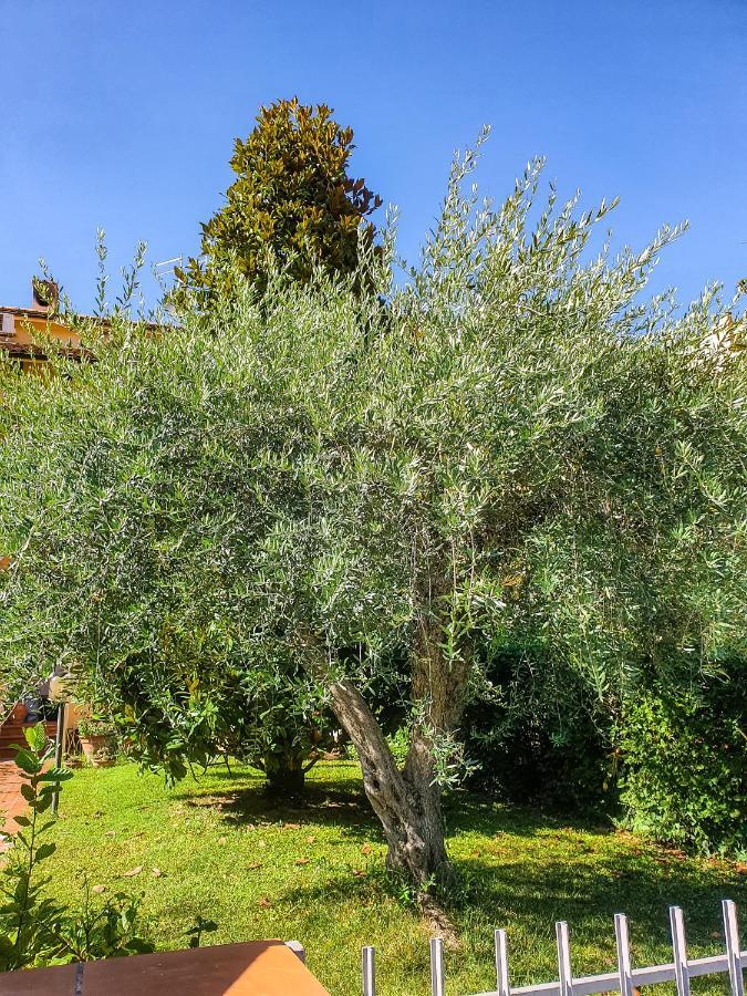 Villa Elsa, Cesena Zona Ippodromo Eksteriør billede