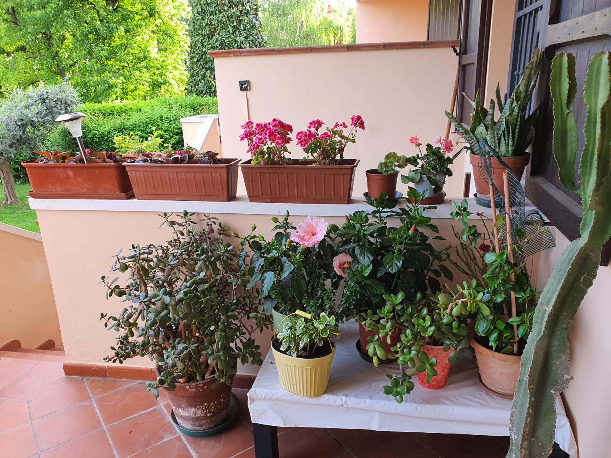 Villa Elsa, Cesena Zona Ippodromo Eksteriør billede